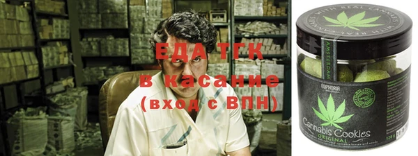 гашик Касимов