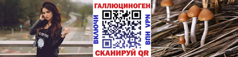 Галлюциногенные грибы GOLDEN TEACHER Кыштым