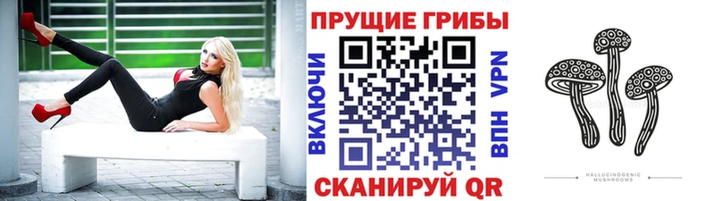 Галлюциногенные грибы MAGIC MUSHROOMS Кыштым